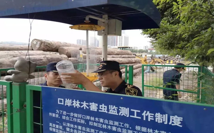 原木木材进口报关