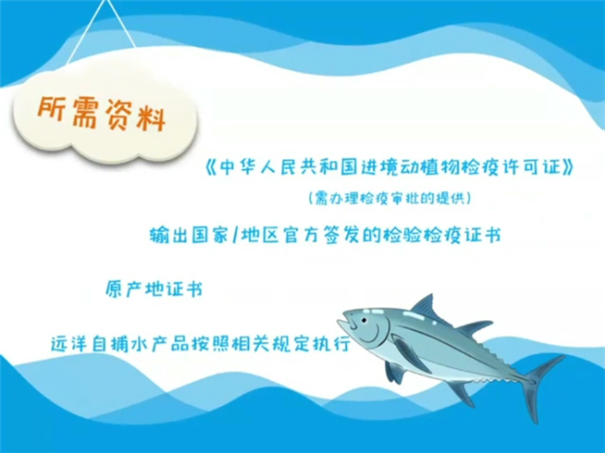 进口食品报关