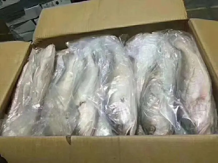 越南巴沙鱼进口清关_副本.jpg
