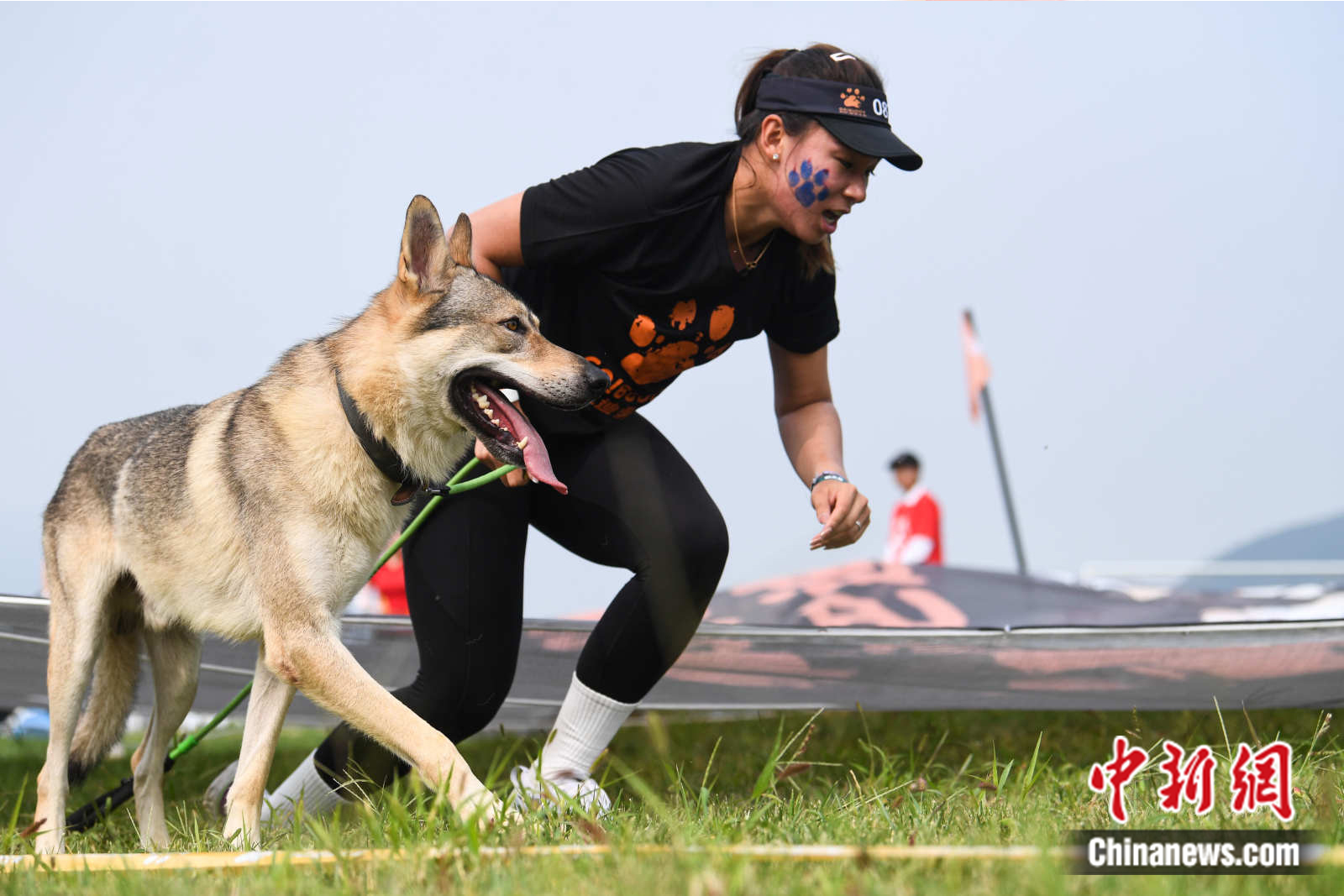 北京站2023狗巴迪勇士赛分站迎来超600组人犬搭档