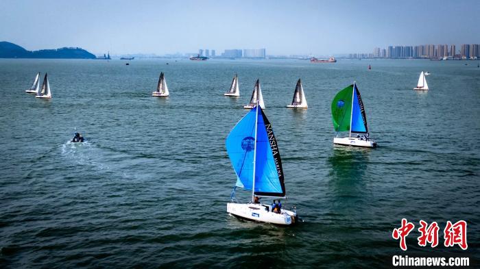 大湾区多支帆船队齐聚广州乘风破浪竞逐帆船公